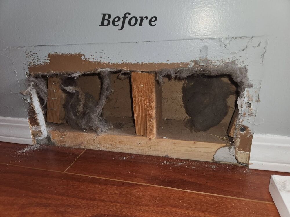 Open wall duct cavity at floor level stuffed with large grey dust bunnies